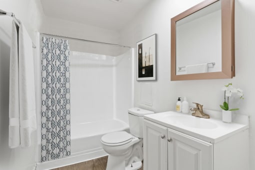 a bathroom with a sink toilet and a shower