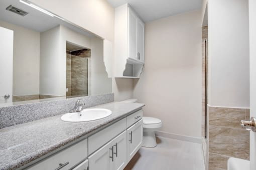 a bathroom with a sink and a toilet and a mirror