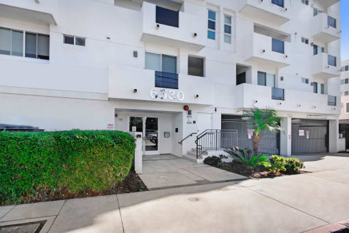 a white building with a sidewalk and a palm tree in front of it