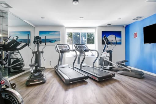 the gym at the resort at longboat key club
