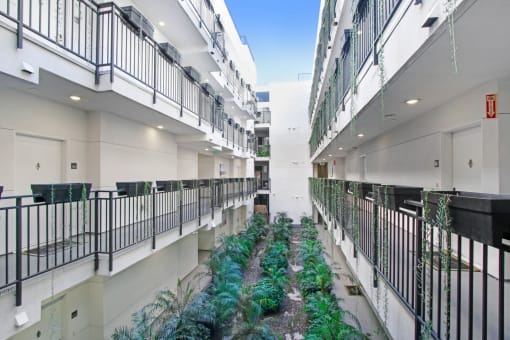 a corridor with plants in the middle of a building