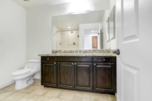 a bathroom with a toilet and a sink and a mirror