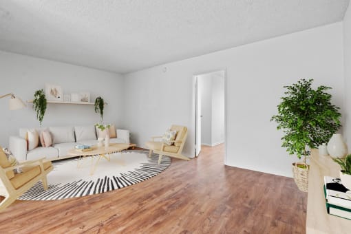 an open living room with a couch and a rug