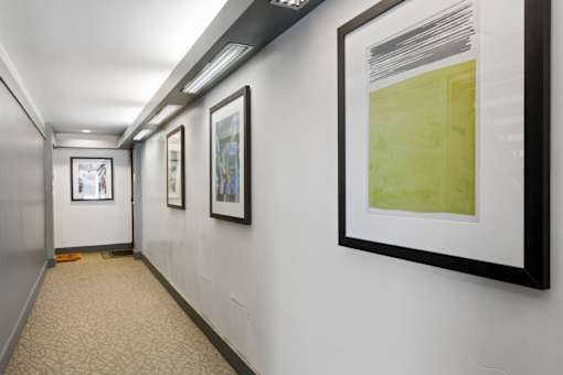 a hallway with framed pictures on the wall and a carpeted floor