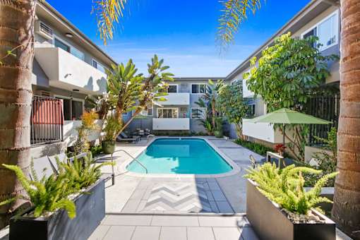 the pool is surrounded by palm trees and a pool house