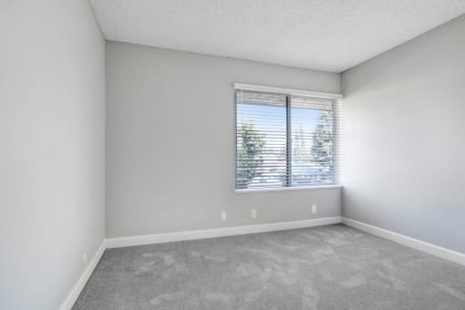 an empty living room with a large window and carpeting