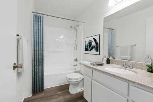 a bathroom with a shower toilet and sink and a mirror