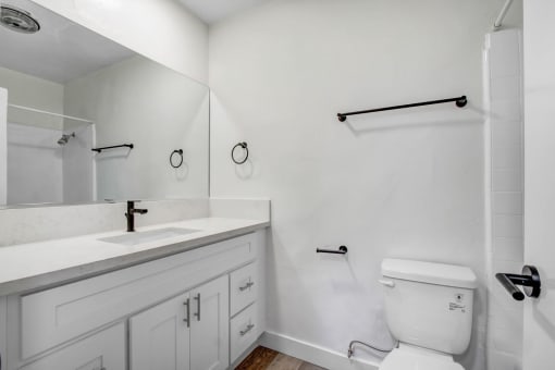 a bathroom with a sink and a toilet