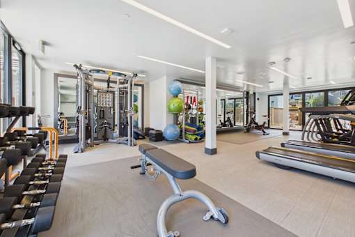 A gym with a variety of equipment including treadmills, weights, and exercise balls.