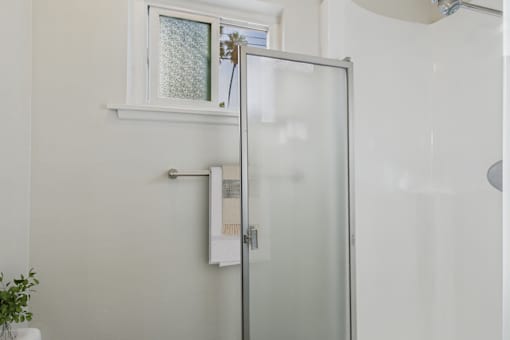 A glass door shower enclosure with a white towel rack and a small plant on the windowsill.