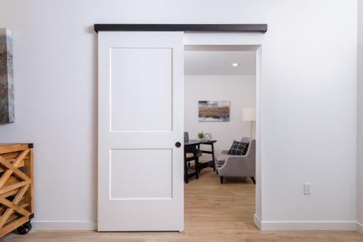 Barn Doors (In Select Apartments)