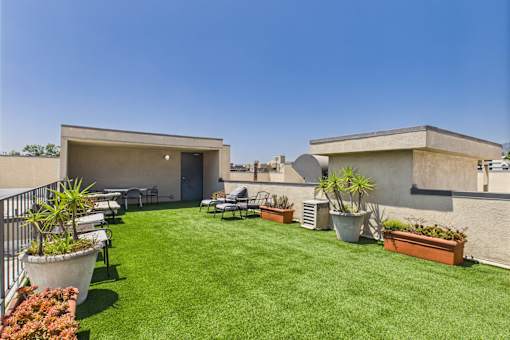 A backyard with a lawn and a patio.