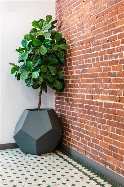 a large black vase with a tree in it