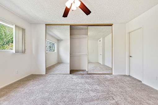 Mirrored Closet