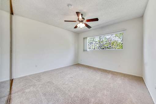 Bedroom ; Carpet