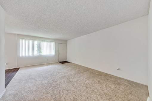 Living room ; Carpet Floors
