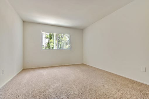 Carpet in Bedroom 2