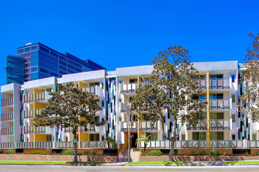 Modern living apartment rentals located in the heart of Westwood Village, CA