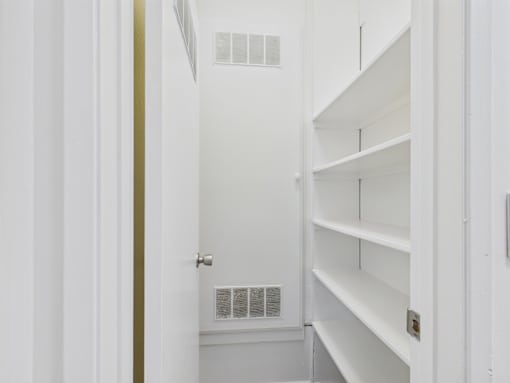 A white pantry with shelves and a door.