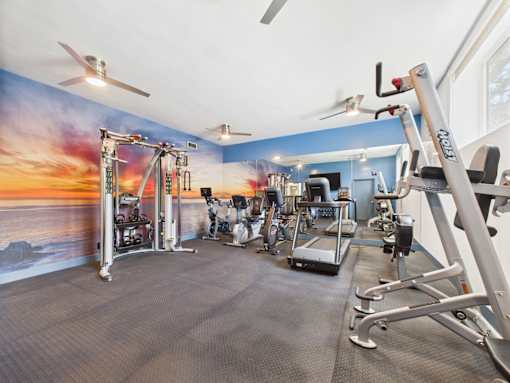 A gym with a variety of equipment including treadmills, weights, and a rowing machine.