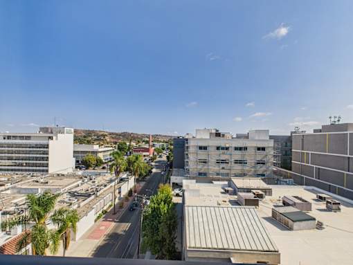 A view of a cityscape with buildings, roads, and palm trees.