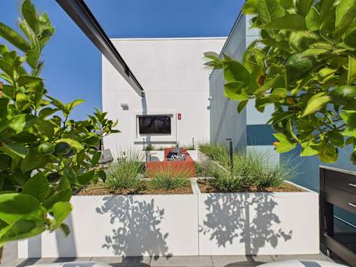 A modern house with a white wall and a planter box.