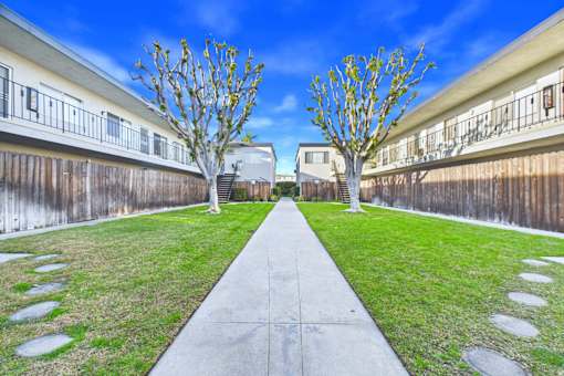 A concrete walkway leads between two trees in a grassy area.