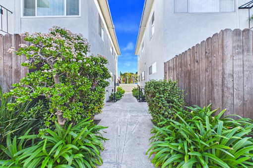 A narrow alley with a wooden fence on both sides.