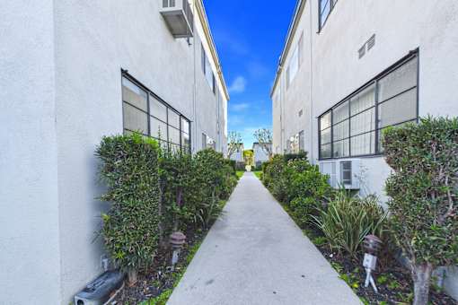 A narrow pathway between two white buildings with green plants on the sides.