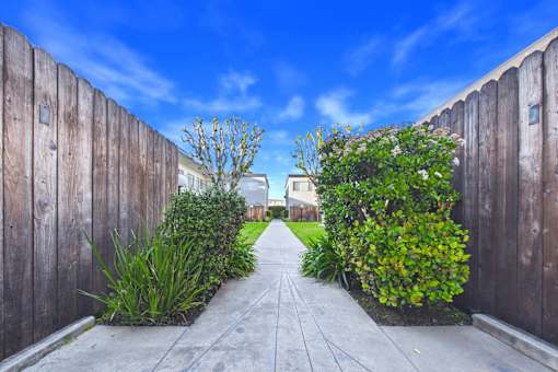 A narrow pathway flanked by wooden fences and green shrubbery.