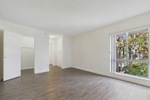 Empty room with a window overlooking a tree.