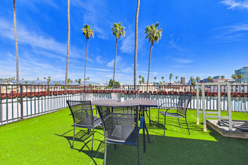 A table and chairs are set up on a green lawn with palm trees in the background.