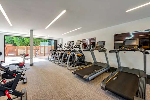 A gym with treadmills and a view of an outdoor area.