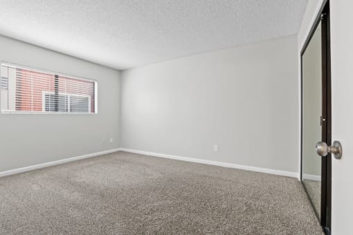 the spacious living room of an apartment with carpet and a window