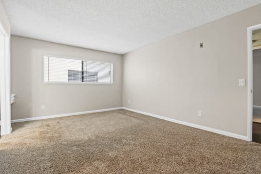 an empty living room with carpet and a window