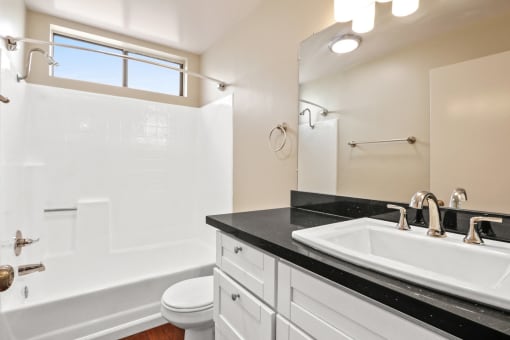 a bathroom with a sink and a toilet and a bath tub