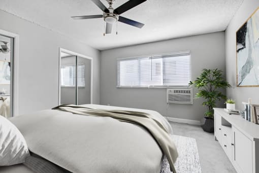 an expansive bedroom with a large bed and a ceiling fan