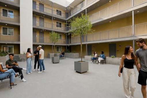 A group of people are standing and sitting in a courtyard with a tree in the middle.