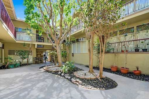 A courtyard with trees and potted plants.