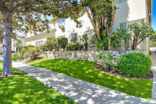 A tree-lined walkway leads to a white building.