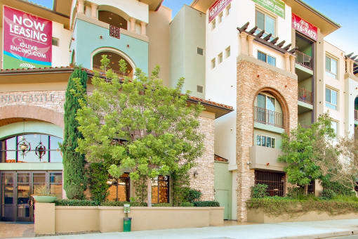 Beautiful Landscaping