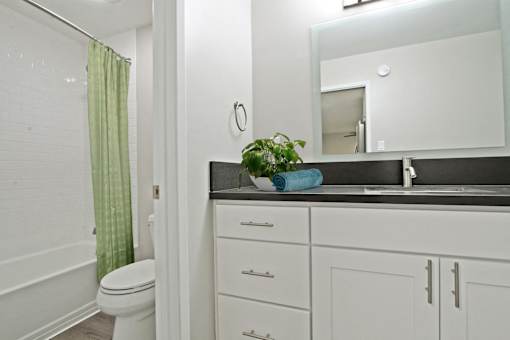 Vanity Area with a gray quartz countertops, bathroom with hot tub and shower combo on the left