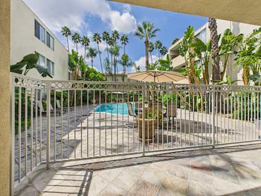 A pool surrounded by a metal fence with a palm tree in the background.