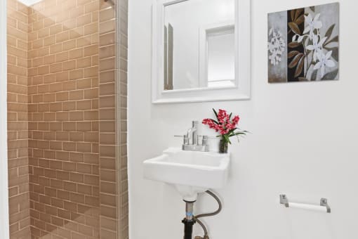 a bathroom with a sink and a mirror