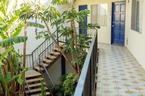 the stairwell of a building with stairs and plants