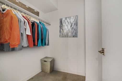 a walk in closet in a bedroom with a door and a painting on the wall