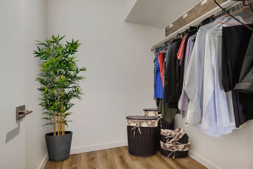 a walk in closet with a plant and baskets on the floor