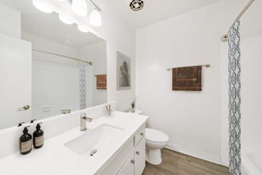 a bathroom with a sink and a toilet and a mirror