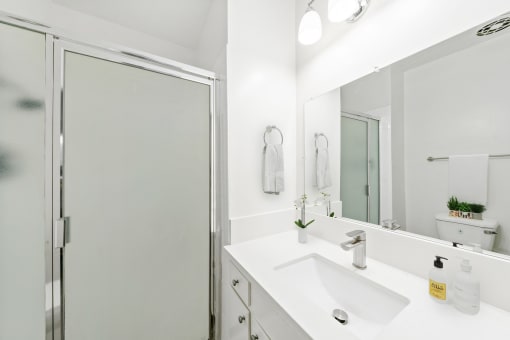 a bathroom with a sink and a shower