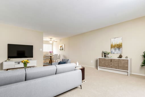 a living room with a couch and a chair and a tv